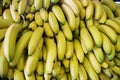 Bananas at a farmerÃ¢â¬â¢s market Royalty Free Stock Photo